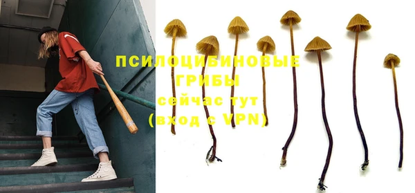 бошки Вяземский